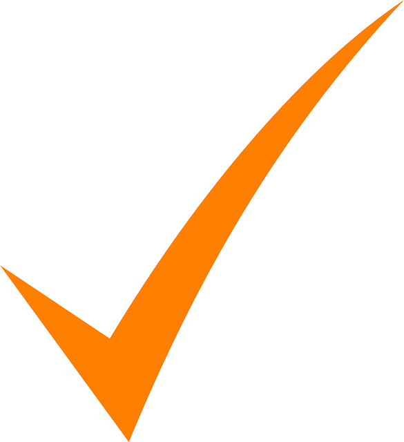 Orange Checkmark